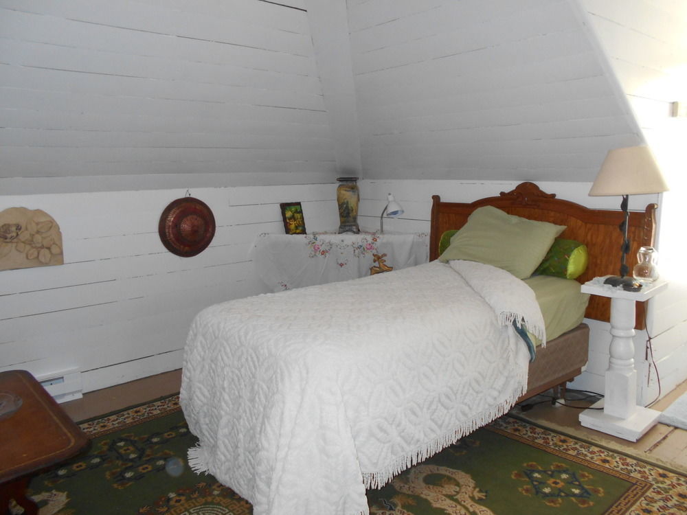 Bed and Breakfast Historic Windsor à Silver Plume Extérieur photo
